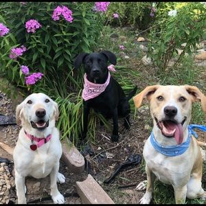 Meet your Posher, Emily